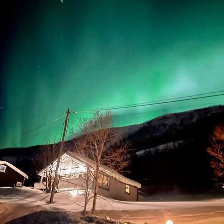 Hundbergan Apartment-Free Parking-15 Min From Tromso Tromsdalen Exterior photo