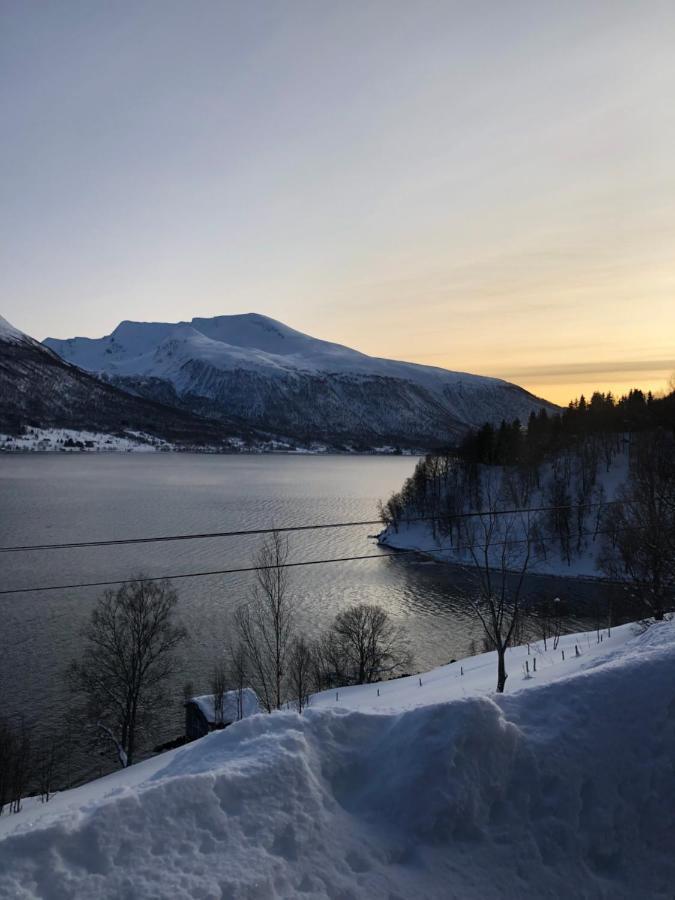 Hundbergan Apartment-Free Parking-15 Min From Tromso Tromsdalen Exterior photo