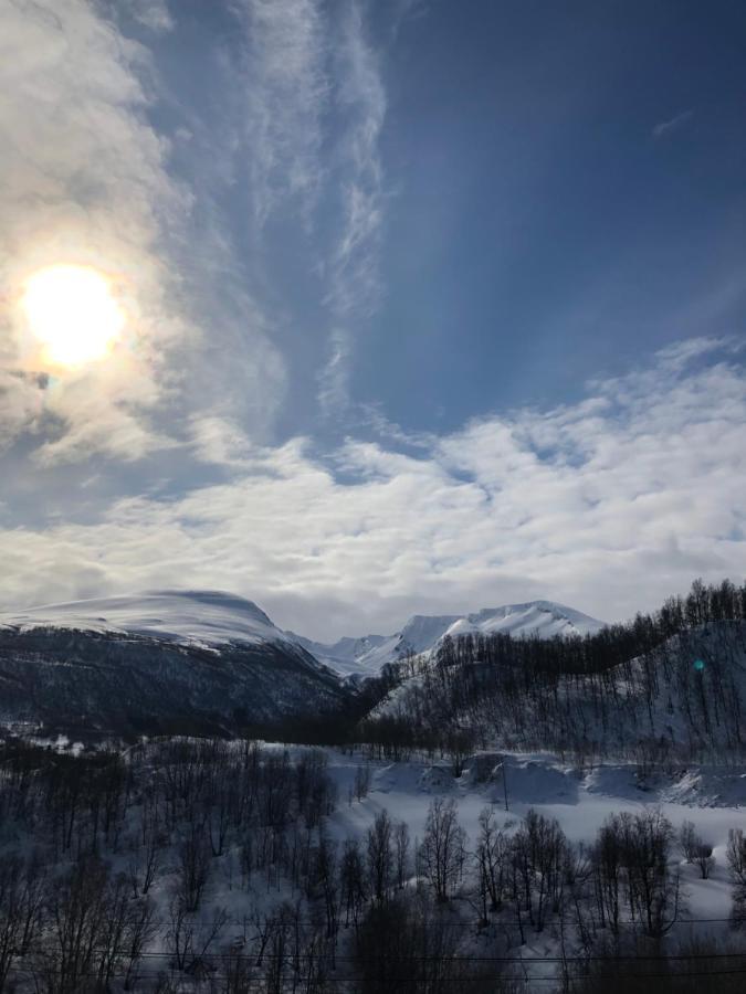 Hundbergan Apartment-Free Parking-15 Min From Tromso Tromsdalen Exterior photo