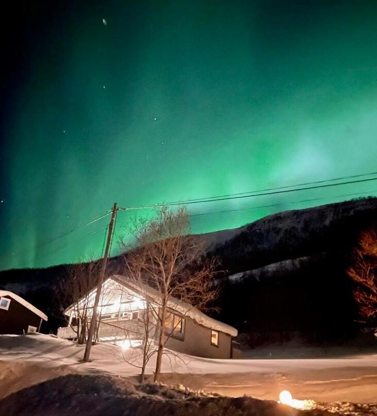 Hundbergan Apartment-Free Parking-15 Min From Tromso Tromsdalen Exterior photo